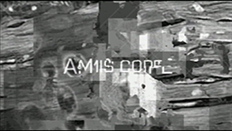 Amis Cope